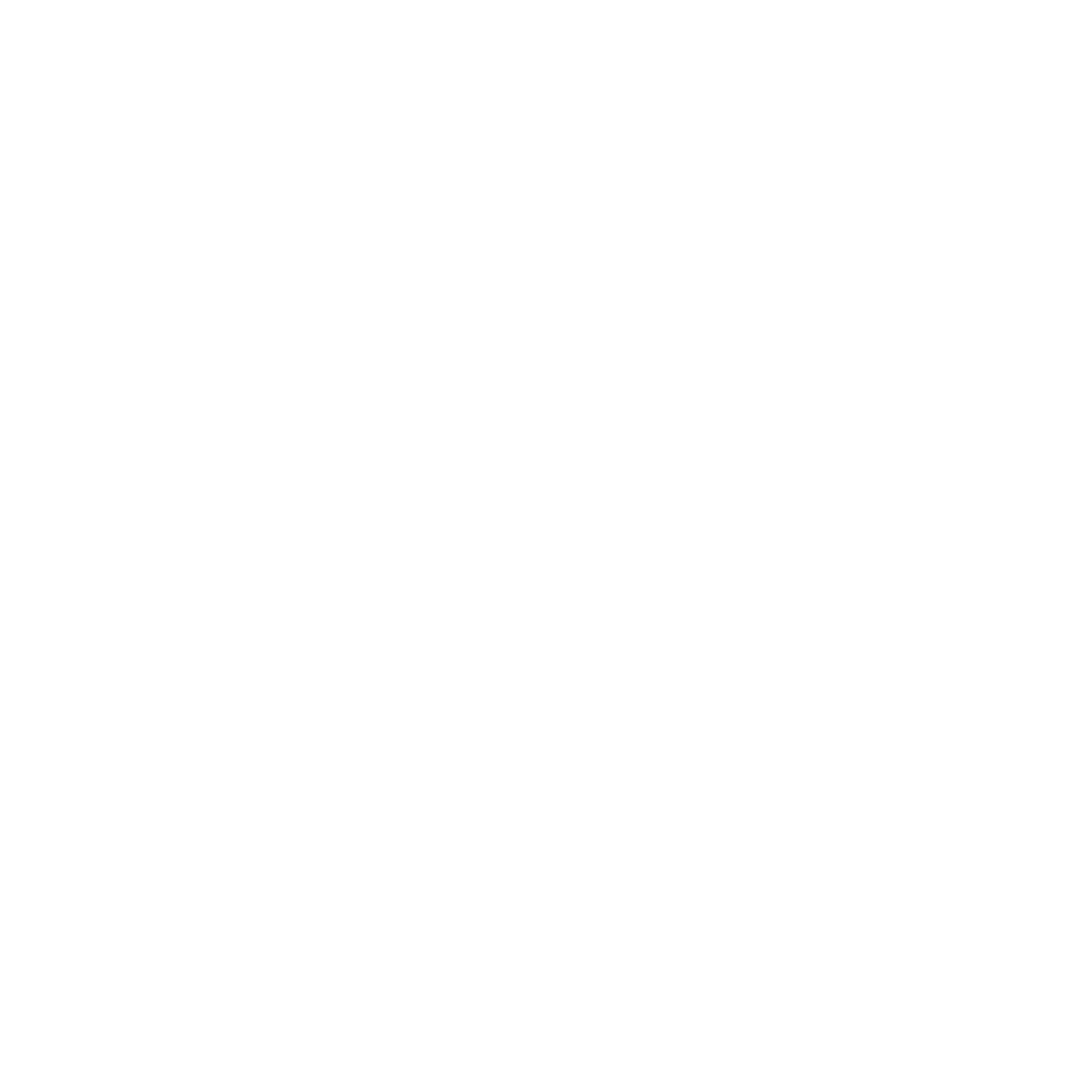 RoarZone Logo